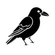 crow black Logo vector design illustration