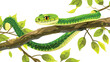 Green snake on tree branch Flat vector isolated