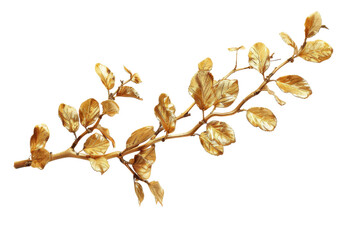 Wall Mural - Glossy Golden leaves flowers for luxury decoration element isolated on background, shiny botanical plant, summer beautiful bouquets.