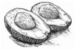 Coloring Pages of avocado with seed split open 