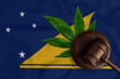 A gavel on the background of the flag of the State of Tokelaujuana legalization concept. Tokelau flag and cannabis