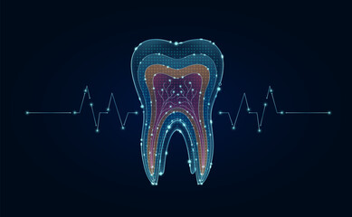 Wall Mural - Electronic tooth dental and pulse wave glowing between connecting lines. Human organ microchip data circuit code. Medical science of technology futuristic digital innovative health care. Vector EPS10.