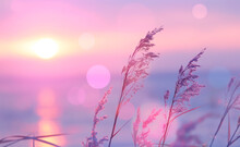 Sunset Serenity: Grass Stem By Calm Sea. Pink And Purple Pastel Watercolor Soft Tones. Beautiful Nature Background