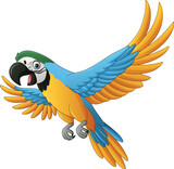 Fototapeta Dinusie - Cartoon blue macaw isolated on white background