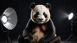 A panda bear with a Parabolic Deep Umbrella Softbox for Strobist Light Modifier Bowens Balcar Bowens Hensel Profoto Studio Flash

