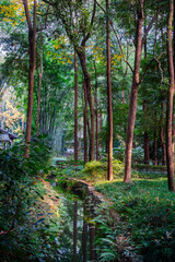 Canvas Print - Du Fu Thatched Cottage Park, Chengdu, China