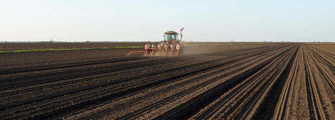 Wall Mural - Sowing crops at agricultural fields in spring