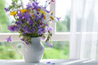 Bouquet of wildflowers in a white jug by the window
