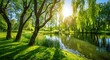 Beautiful green trees and grass in the park with a river, sunlight shining through willow tree branches over the lake water