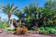 Beautiful tropical garden with palm trees and red flowers outdoors in the Las Palma, Canary Island in Spain