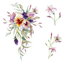 Hand Drawn Watercolor Illustration Botanical Flowers Leaves. Pansy Viola, Ash Maple Keys Seeds, Pink Lobelia Jasmine, Willow Eucalyptus. Bouquet Isolated White Background. Design Wedding, Love Cards