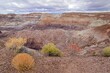 looking down on the blue mesa trail and petrified wood, with colorful shrubs  in  the blue mesa  badlands area of petrified forest national park, arizona, on a stormy winter day