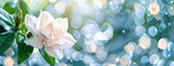 a white gardenia blossoming on the right side of the frame, against a backdrop of enchanting bokeh lights, leaving ample space on the left for text or captions.