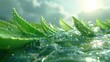 Aloe veras soothing effect on GERD, depicted in a refreshing 3D animation, highlighting natural remedy benefits