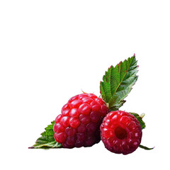 Wall Mural - Two raspberries with leaves on Transparent Background