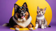 Adorable Cat and Dog Against Cheerful Yellow-Purple Backdrop