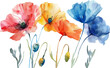 Watercolor illustration of colorful poppies on a white background