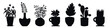 Houseplants. Vector set of outline drawings plants, succulents in pot. Indoor exotic flowers with stems and leaves. Monstera, ficus, pothos, yucca, dracaena, cacti