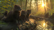 Mink family in the forest with setting sun shining. Group of wild animals in nature.
