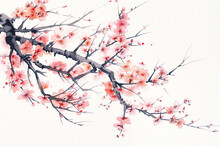 Japanese Sakura Blossom Branch In Watercolor Style