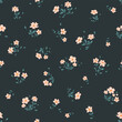 Vector illustration. Seamless pattern, small flowers on a dark background. Ditsy floral pattern, field of flowers, print for fabric, textile, wallpaper, baby clothes, wrapping paper