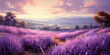 A field of blooming lavender, exuding a sweet fragrance under the warm summer sun.