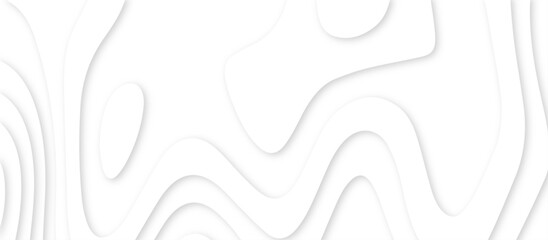Poster - Abstract paper carve template. abstract white and gray 3d papercut topography relief vector background illustration. topographic canyon geometric map relief texture with curved layers and shadow.