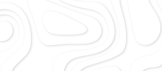 Poster - Abstract paper carve template. abstract white and gray 3d papercut topography relief vector background illustration. topographic canyon geometric map relief texture with curved layers and shadow.