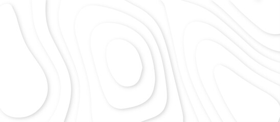 Poster - Abstract paper carve template. abstract white and gray 3d papercut topography relief vector background illustration. topographic canyon geometric map relief texture with curved layers and shadow.