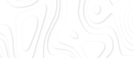 Poster - Abstract paper carve template. abstract white and gray 3d papercut topography relief vector background illustration. topographic canyon geometric map relief texture with curved layers and shadow.
