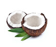Coconut nuts with leaves