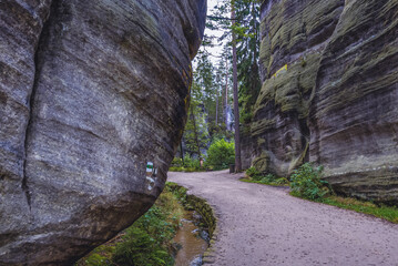 Wall Mural - Tourists in Adrspach-Teplice Rocks Park, a set of unusual rock formations, Czech Republic