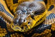 Sinuous Anaconda snake macro. Female pet. Generate Ai