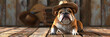 The persistent bulldog wearing hat and sitting on the wooden floor with wooden background.