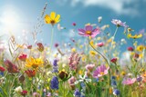 Fototapeta  - A vibrant field filled with various wildflowers and flowers blooming in full, showcasing a colorful and lively scene
