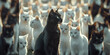 Black and white cats, generative ai