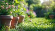 Flower pots on green field, perfect for gardening projects