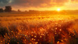 Sunset in Countryside, A serene sunset over a dewy field, casting warm hues.