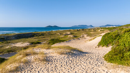 Wall Mural - Florianópolis, Campeche beach during sunrise. Brazil.