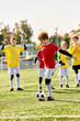 © LIGHTFIELD STUDIOS - A group of energetic young children enthusiastically playing a game of soccer, kicking the ball around and trying to score goals on a sunny day at the park.