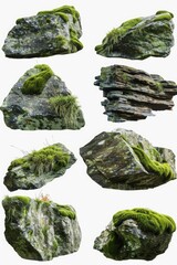 Wall Mural - A bunch of rocks covered in green moss. Suitable for nature and outdoor themed designs