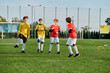 © LIGHTFIELD STUDIOS - A group of young boys proudly stand at the top of a soccer field, celebrating their achievement with joy and triumph.