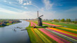 Sprawling Colorful Tulip Fields Blooming Flowers