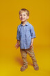 Vertical photo of full body positive kid with blonde hair wearing trendy blue shirt and beige pants, smiling and looking away, isolated over yellow background.
