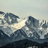 Fototapeta Las - snow covered mountains in winter