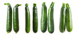 set of fresh green zucchini 