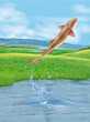 un poisson roussette qui saut et sort de l'eau avec splash