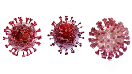 Poster - Three different types of coronaviruses on a white background. Suitable for medical and scientific concepts