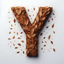 The Letter "Y" Is Made With Brown Leaves, Brown Leaves Letter, Isolated On A White Background, Dry Leaves Alphabet
