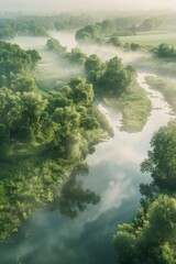 Poster - Aerial view of a river surrounded by trees, suitable for nature and travel concepts